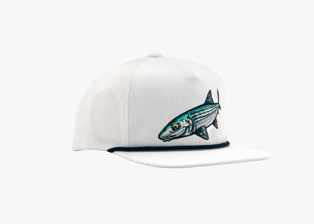 Bonefish - Flat Brim Corduroy - Image 5